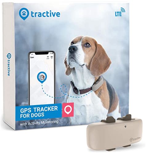 how to track dog rfid|best dog tracker for dogs.